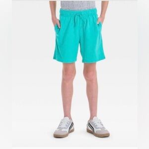 Boys' Above the Knee Pull-on Shorts - Cat & Jack™ Teal Green Large Husky